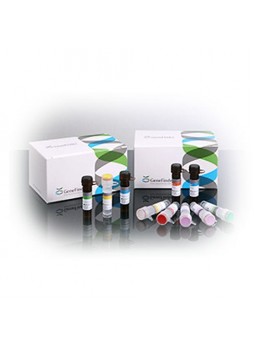 Набор для тестов HPV IFMR-02