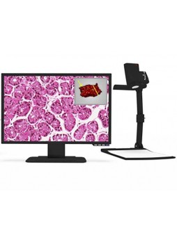 Оборудование для макроскопической визуализации для гистопатологии MacroStation