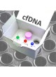 Реактив свободная ДНК плода (cfDNA) оптом
