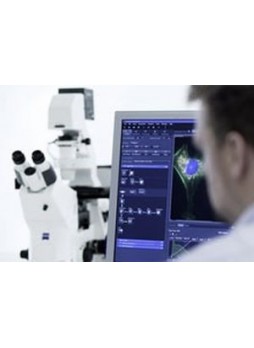 Программное обеспечение для цифровых микроскопов ZEN