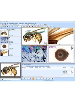 Программное обеспечение для медико-биологических наук QuickPHOTO