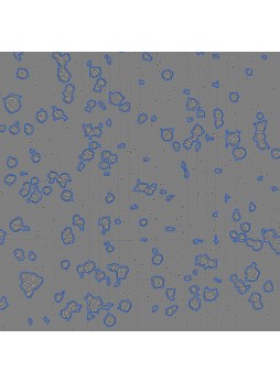 Программное обеспечение клеточной визуализации Automated Organoid Counter