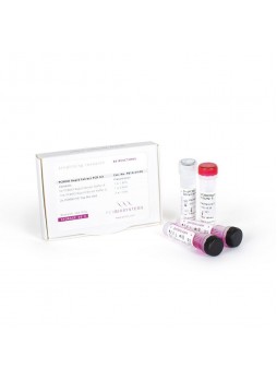 Набор реактивов извлечение ДНК PCRBIO Rapid Extract