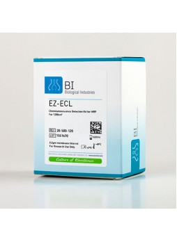 Реактив для вестерн-блоттинга EZ-ECL