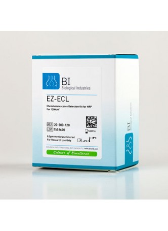Реактив для вестерн-блоттинга EZ-ECL