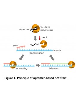 Реактив ДНК-полимераза TP5000