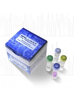Набор реактивов краситель BrilliantDye™ 1.1, BrilliantDye™ 3.1 Series