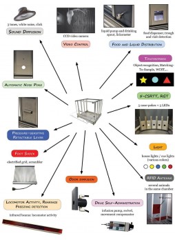 Система оперантного обусловливания для мышей