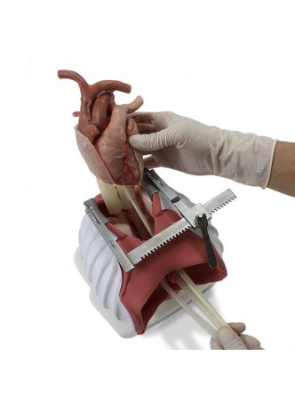 Имитационная модель пациента для кардиологической хирургии 4095 оптом