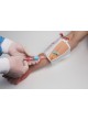 Моделирующее устройство для венозной пункции Venous оптом