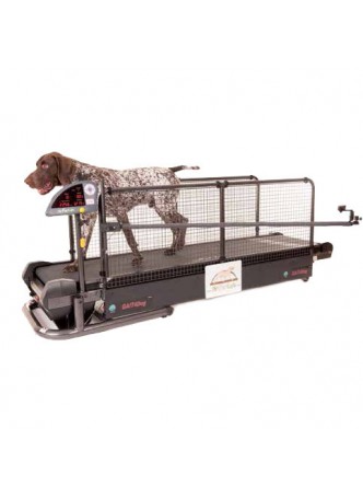 Система анализа походка Gait4Dog
