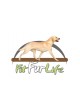 Система анализа походка Gait4Dog
