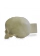 Анатомическая модель череп 9015 оптом