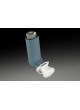 Ингаляционная камера Flo-Tone CR, DISPOZABLE, A2A, ABLE