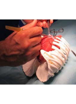 Моделирующее устройство для кардиологической хирургии