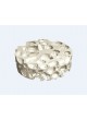 Тканевая матрица стоматологическая хирургия Barrier membrane