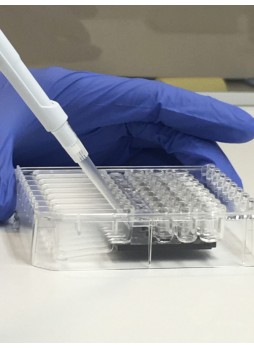 Автоматическое устройство подготовки проб для PCR Xdrop™