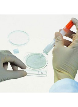 Щеточка для микробиологии Compact Dry Swab