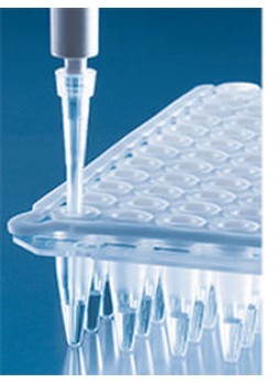 Микропластина для PCR
