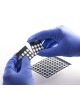 Микропластина для PCR