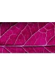 Катетер для хронической полной окклюзии NIC NANO®