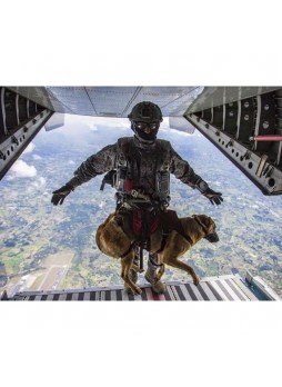 Моделирующее устройство собаки KGS-TFX-K9JR-1