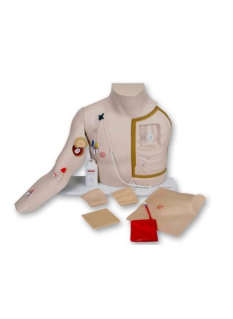 Моделирующее устройство внутривенной катетеризации Chester Chest™ оптом