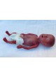 Учебный манекен для медицинского ухода MICRO-PREEMIE оптом