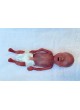 Учебный манекен для медицинского ухода MICRO-PREEMIE оптом
