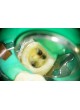 Микроскоп для стоматологического осмотра AM-4604 Plus оптом