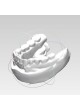 Ортодонтическое программное обеспечение SmartV2 оптом