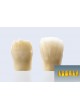 Программное обеспечение CAO Ceramill® Mindforms