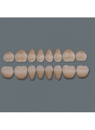 Стоматологический протез из акрила Three-layer