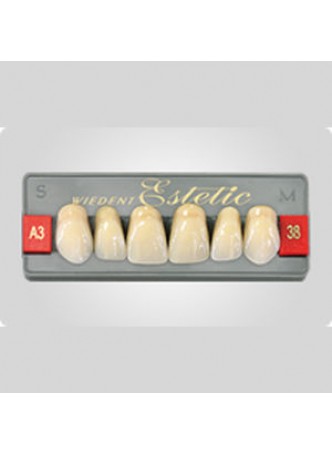 Стоматологический протез из акрила Wiedent Estetic Upper