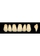 Стоматологический протез из акрила Wiedent Estetic Upper