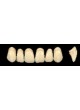 Стоматологический протез из акрила Wiedent Estetic Upper