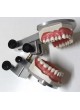 Анатомический стоматологический артикулятор PAR оптом