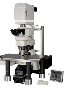 Конфокальные микроскопы A1 MP+ и A1R MP+ оптом