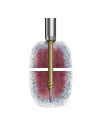 Общий компрессирующий винт для кости HCS 4.5, 6.5 оптом