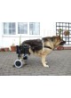 Ветеринарная инвалидная коляска для собак DogMobile оптом