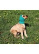 Ветеринарная повязка NO FLAP™ EAR WRAP