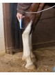 Ветеринарная лазерная фотостимуляция INTELECT® VET оптом