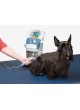 Ветеринарная лазерная фотостимуляция INTELECT® VET оптом